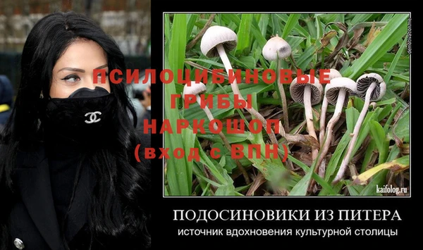 соль ск Балахна
