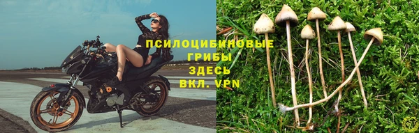 a pvp Балабаново