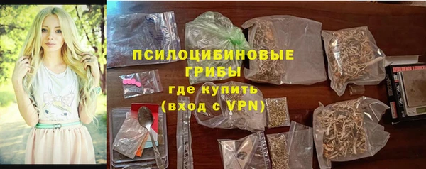 соль ск Балахна