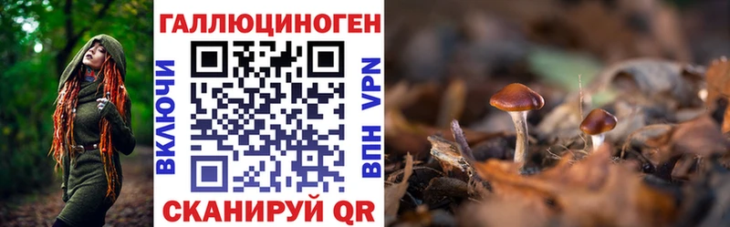Купить  Кузнецк  Псилоцибиновые грибы MAGIC MUSHROOMS 